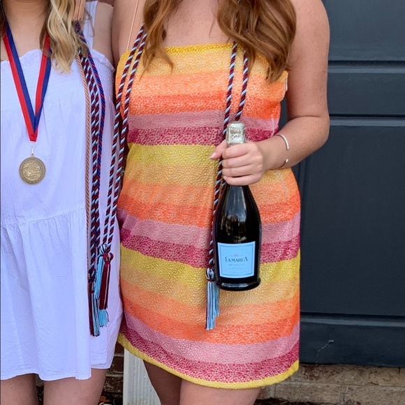 Show Me Your Mumu Dress - Picture 9 of 9